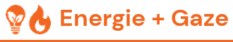 Energie electrică și gaze naturale
